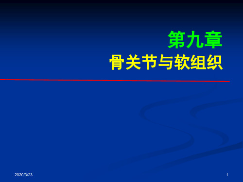 临床影像PPT骨关节与软组织1