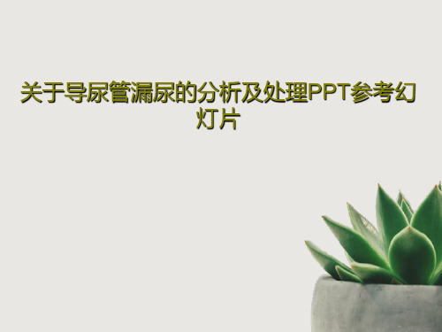 关于导尿管漏尿的分析及处理PPT参考幻灯片共28页文档
