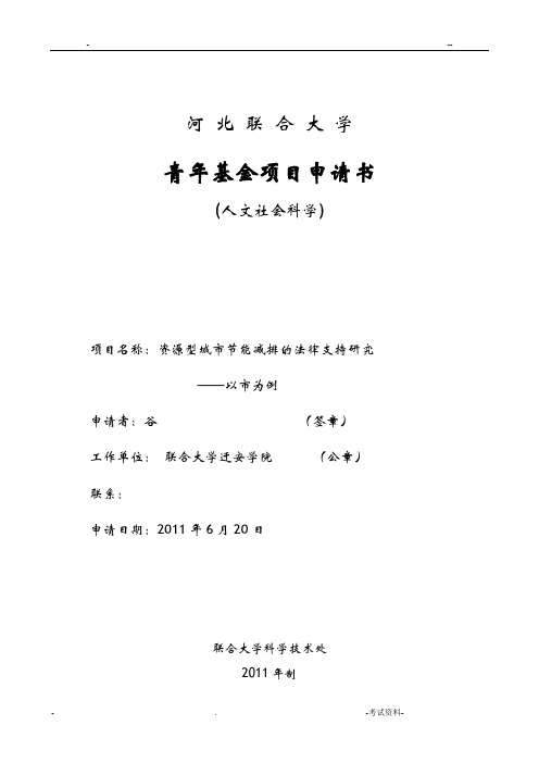 青年基金项目申请书