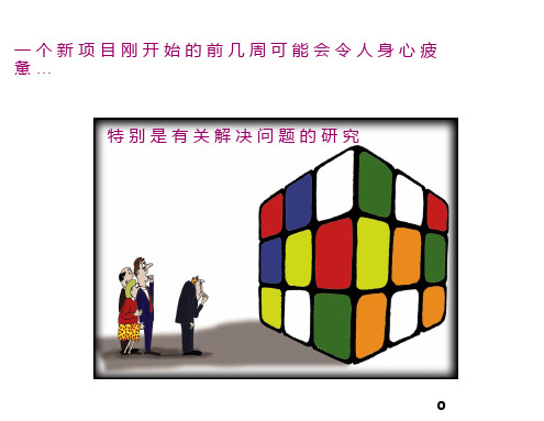 罗兰贝格咨询工具箱七步解决问题
