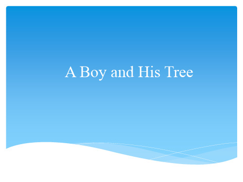 男孩和树的故事a boy and his tree英文PPT