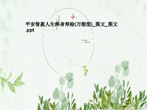 平安智盈人生终身寿险(万能型)_图文_图文