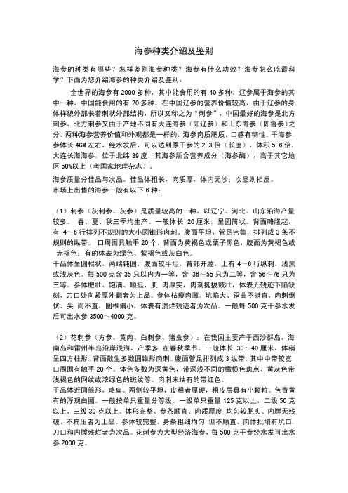 海参种类介绍及鉴别