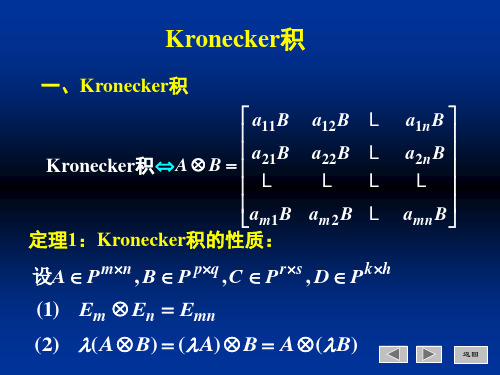 矩阵理论 -Kronecker积