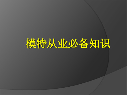 模特从业常识PPT
