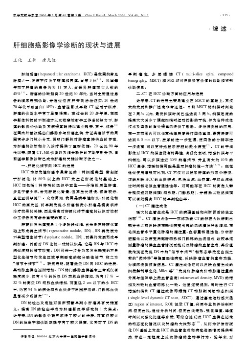 肝细胞癌影像学诊断的现状与进展
