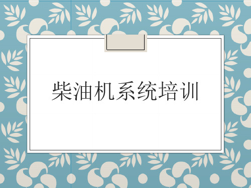 柴油机系统培训