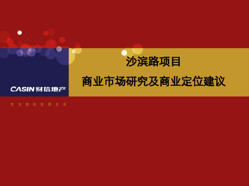 重庆沙坪坝沙滨路项目商业市场研究及商业定位建议(40页)