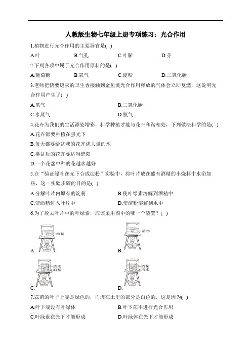 人教版生物七年级上册专项练习：光合作用