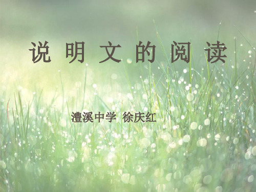 说明文复习课件