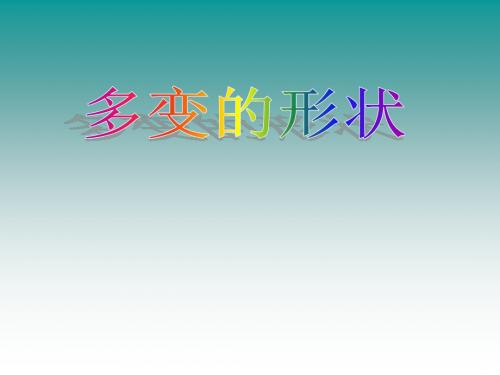 三年级上册信息技术课件-第7课 多变的形状(2)_浙江摄影版 (共19张PPT)
