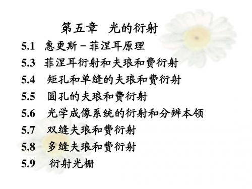 5光的衍射
