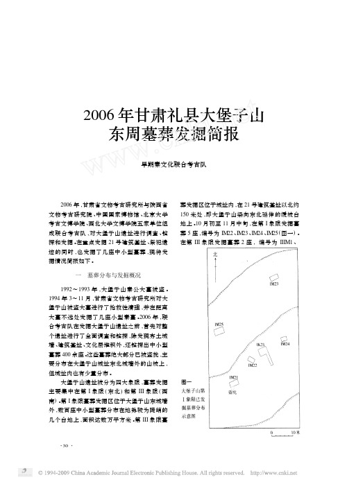 2006年甘肃礼县大堡子山东周墓葬发掘简报