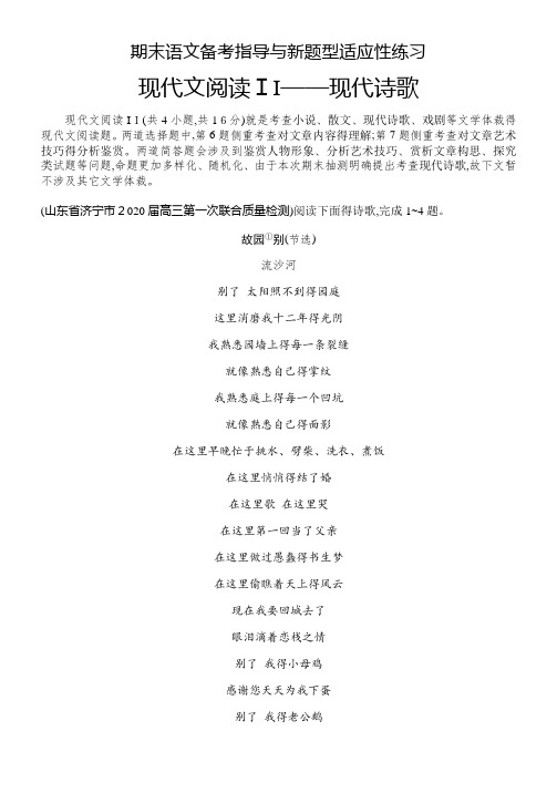 山东新高考语文现代文阅读II(现代诗歌) 练习