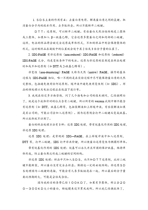 SDS-PAGE--非还原性(non-reduced)和还原性等