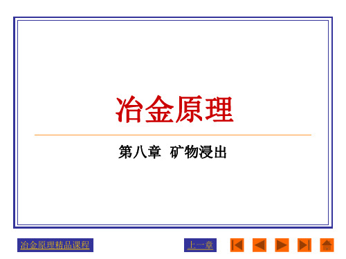 冶金原理第八章  矿物浸出