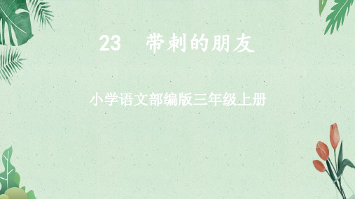 23 带刺的朋友1(共19张PPT)【完美版课件】