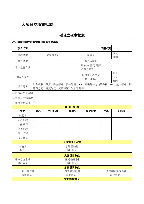 大项目立项审批表