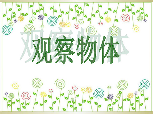 二年级上册《观察物体》PPT课件