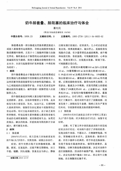 奶牛肠套叠、肠阻塞的临床治疗与体会