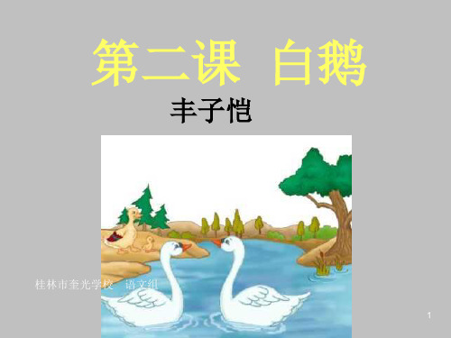 七年级下《白鹅》语文版-PPT课件