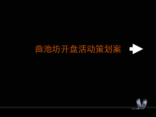 楼盘开盘活动策划案PPT