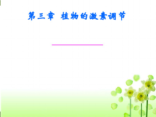 高中生物《植物生长素》PPT教学课件新人教版1