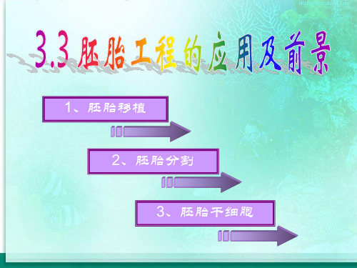 3.3胚胎工程的应用及前景