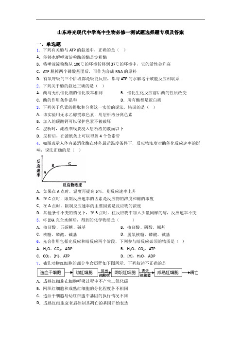 山东寿光现代中学高中生物必修一测试题选择题专项及答案