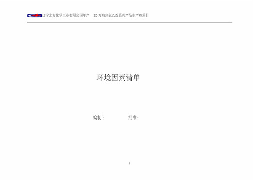 项目汇总环境因素清单