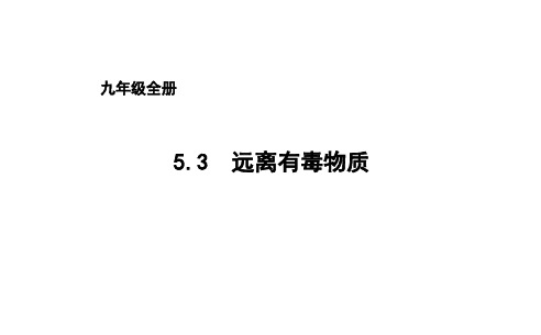 鲁教版化学九年级5.3远离有毒物质