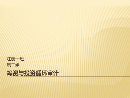 -筹资与投资循环审计PPT课件