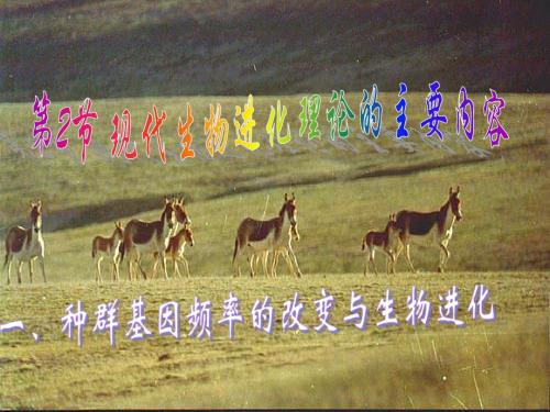 高中生物种群基因频率的改变与生物进化-教学课件