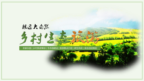 乡村振兴美丽乡村旅游项目PPT模板-精品模板  (20)