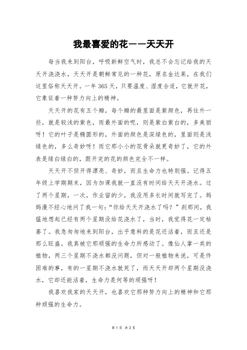 我最喜爱的花――天天开_五年级作文