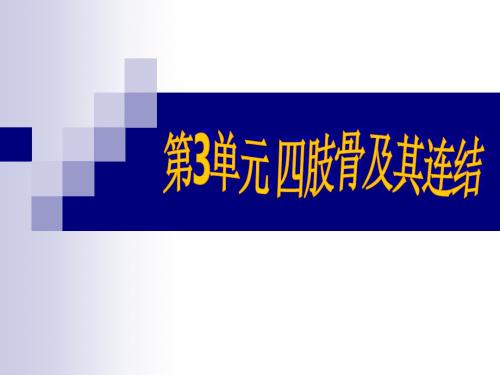 第3单元四肢骨及其连结2008