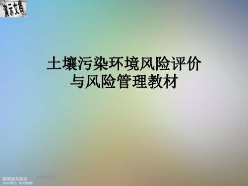 土壤污染环境风险评价与风险管理教材