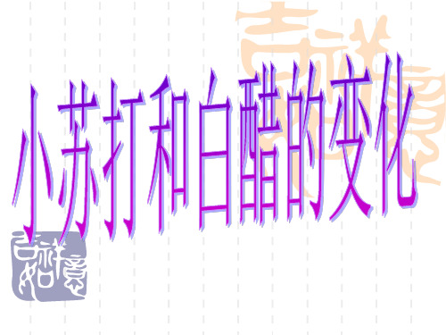 六年级下册科学课件-2 .4 小苏打和白醋的变化｜教科版 (共26张PPT)