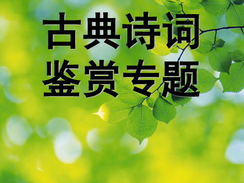 古诗词基础知识