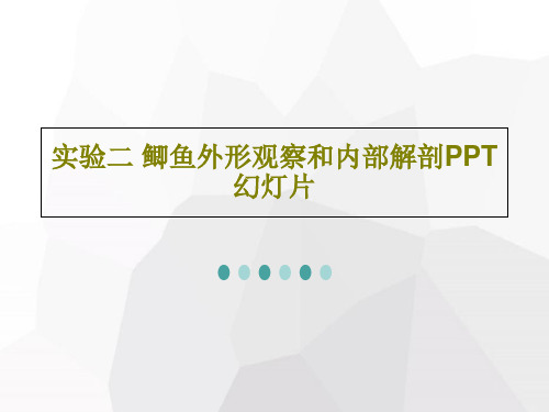 实验二 鲫鱼外形观察和内部解剖PPT幻灯片17页PPT