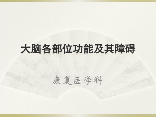 大脑各部位功能及障碍