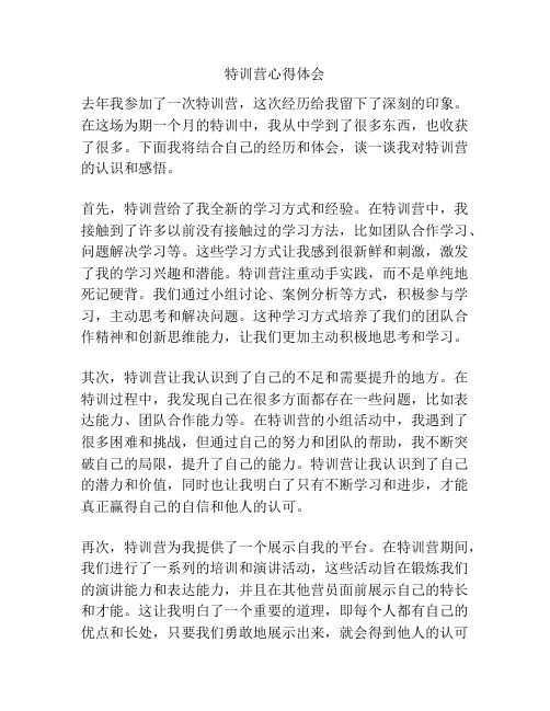 特训营心得体会