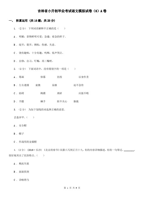 吉林省小升初毕业考试语文模拟试卷(6)A卷