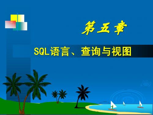第5章  SQL语言、查询与视图(精简版)