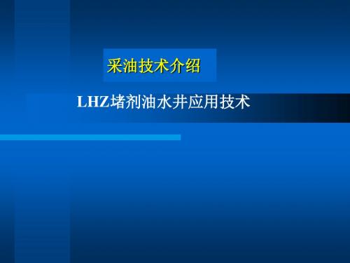 LHZ堵剂油水井应用技术