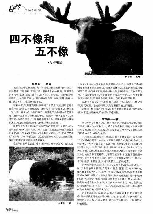 四不像和五不像