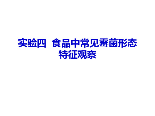 食品微生物实验技术--实验四食品中常见霉菌形态特征观察4