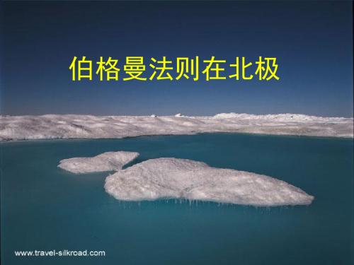 伯格曼法则在北极课件