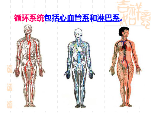 第7章动脉粥样硬化冠状动脉粥样硬化性心脏病