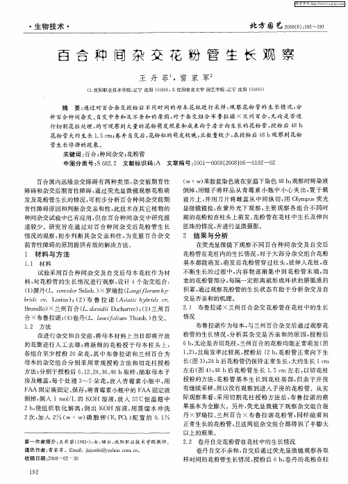 百合种间杂交花粉管生长观察